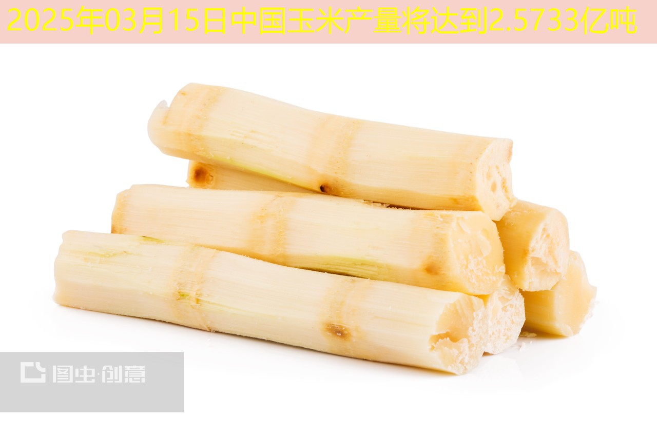 2025年03月15日中国玉米产量将达到2.5733亿吨