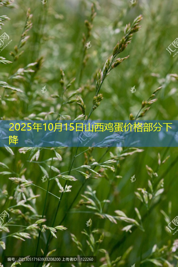 2025年10月15日山西鸡蛋价格部分下降