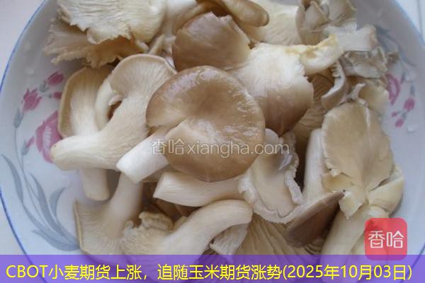 CBOT小麦期货上涨，追随玉米期货涨势(2025年10月03日)