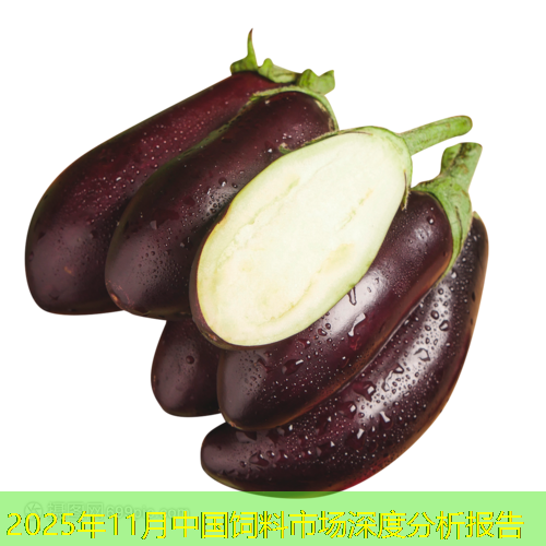 2025年11月中国饲料市场深度分析报告