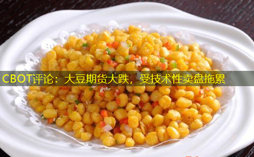 CBOT评论：大豆期货大跌，受技术性卖盘拖累