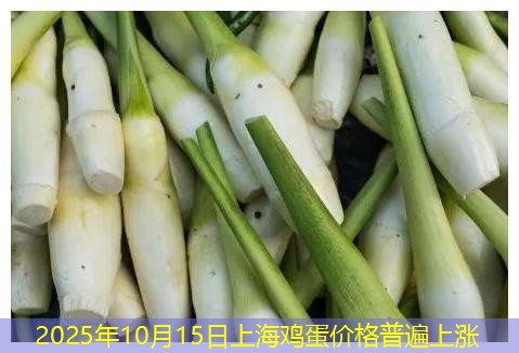 2025年10月15日上海鸡蛋价格普遍上涨