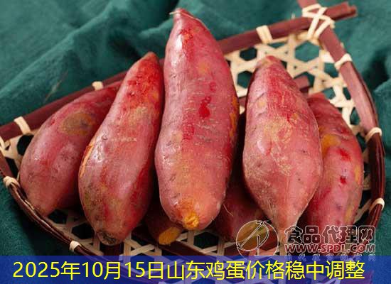 2025年10月15日山东鸡蛋价格稳中调整