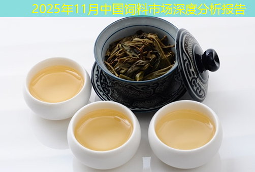 2025年11月中国饲料市场深度分析报告