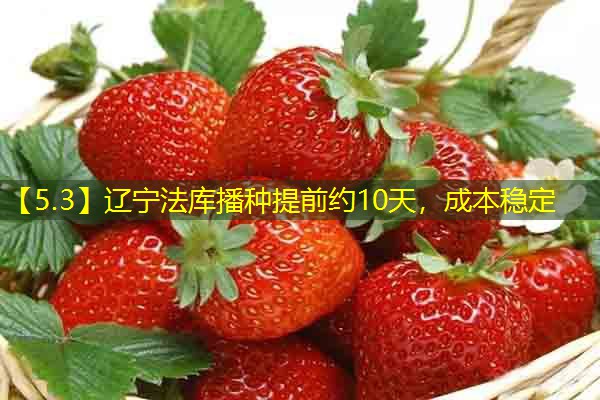 【5.3】辽宁法库播种提前约10天，成本稳定