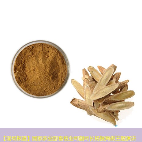 【现场报道】国家农业部畜牧业司副司长杨振海做主题演讲