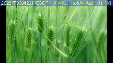 2025年03月22日CBOT玉米走低，技术性抛盘压力加剧