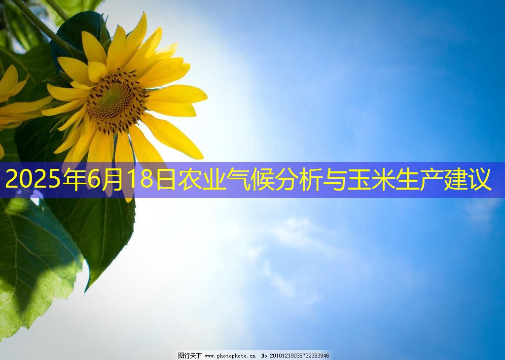 2025年6月18日农业气候分析与玉米生产建议