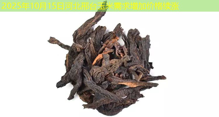 2025年10月15日河北邢台玉米需求增加价格续涨