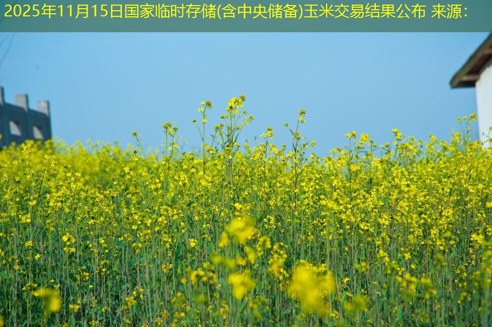 2025年11月15日国家临时存储(含中央储备)玉米交易结果公布 来源：