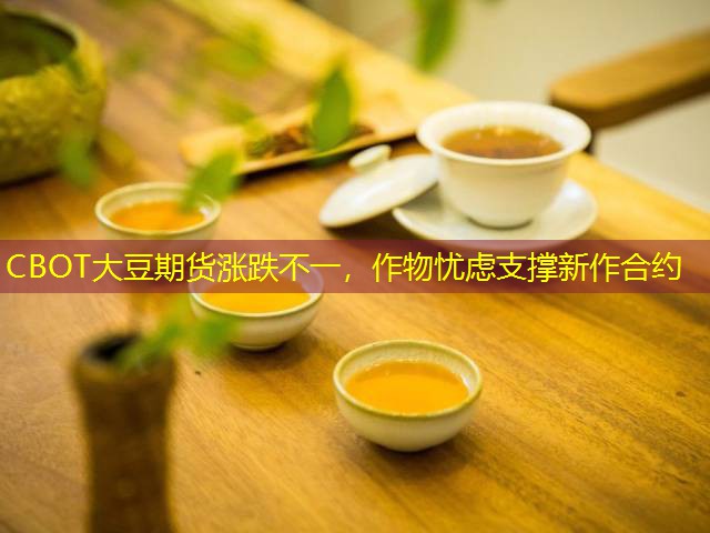 CBOT大豆期货涨跌不一，作物忧虑支撑新作合约