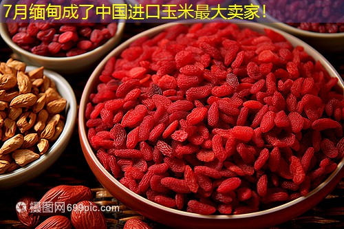 7月缅甸成了中国进口玉米最大卖家！