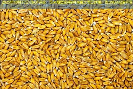 2025年10月15日CBOT评论：玉米期货录得9月来最大单日跌幅，因USDA报告利空