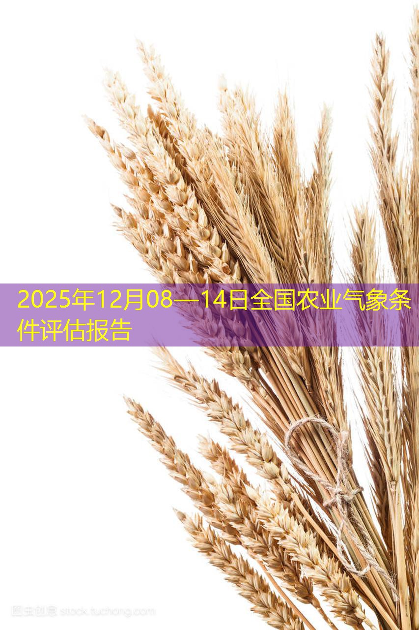2025年12月08—14日全国农业气象条件评估报告