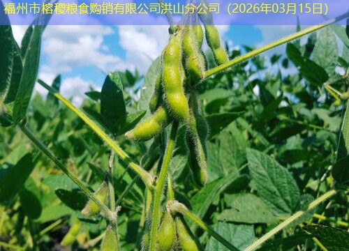 福州市榕稷粮食购销有限公司洪山分公司（2026年03月15日）