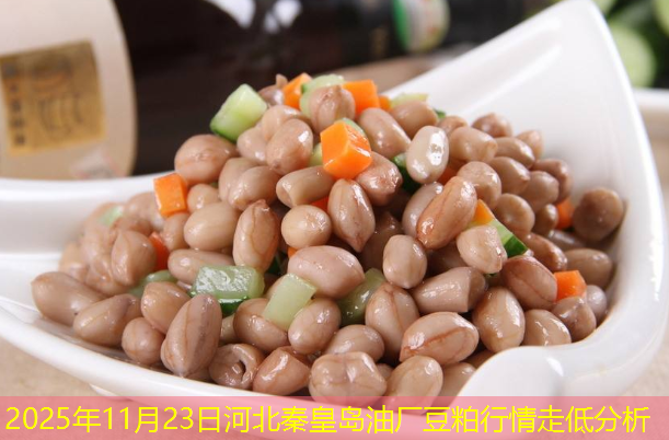 2025年11月23日河北秦皇岛油厂豆粕行情走低分析