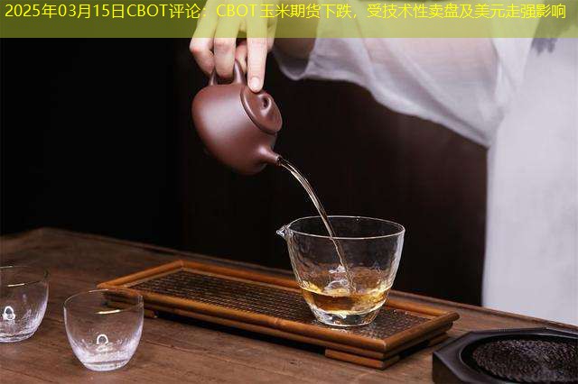 2025年03月15日CBOT评论：CBOT玉米期货下跌，受技术性卖盘及美元走强影响