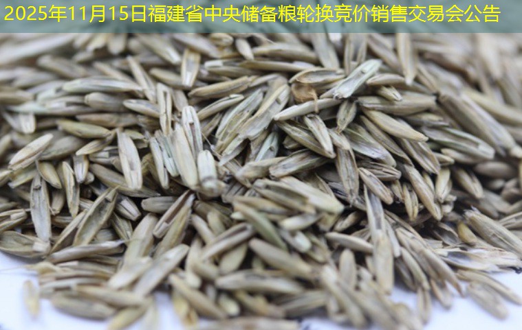 2025年11月15日福建省中央储备粮轮换竞价销售交易会公告