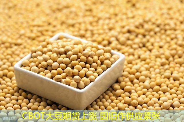 CBOT大豆期货上涨 因旧作供应紧张