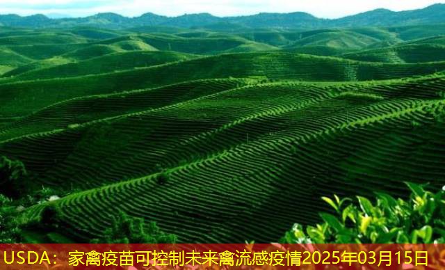 USDA：家禽疫苗可控制未来禽流感疫情2025年03月15日