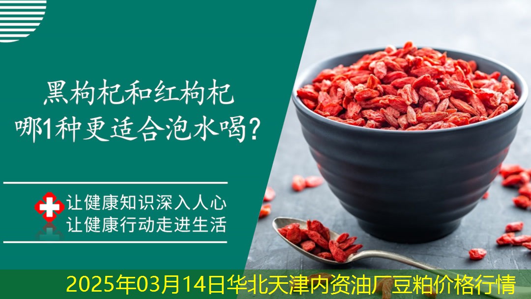 2025年03月14日华北天津内资油厂豆粕价格行情