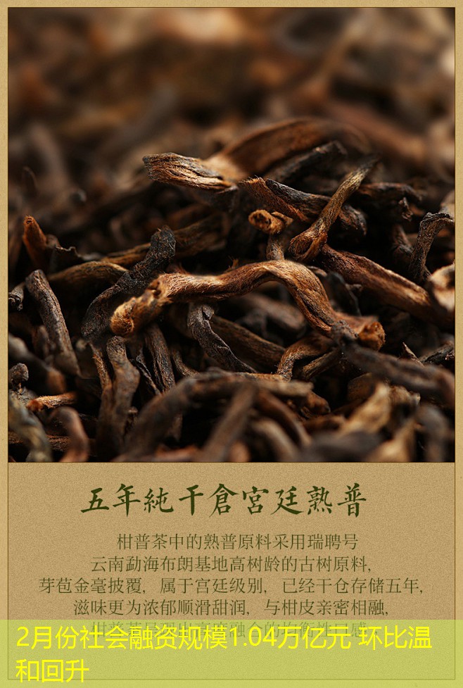 2月份社会融资规模1.04万亿元 环比温和回升