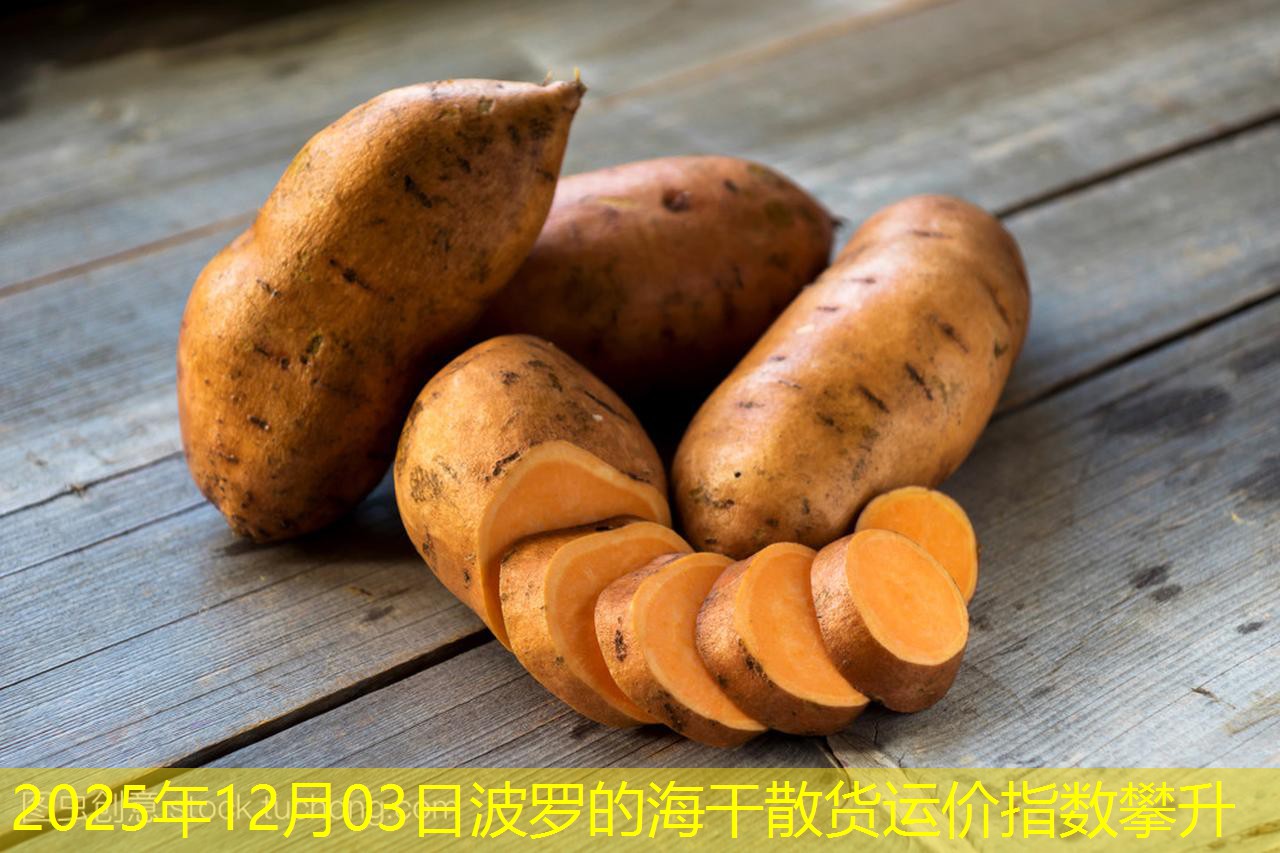 2025年12月03日波罗的海干散货运价指数攀升