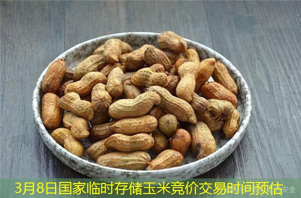 3月8日国家临时存储玉米竞价交易时间预估