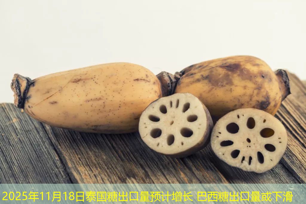 2025年11月18日泰国糖出口量预计增长 巴西糖出口量或下滑