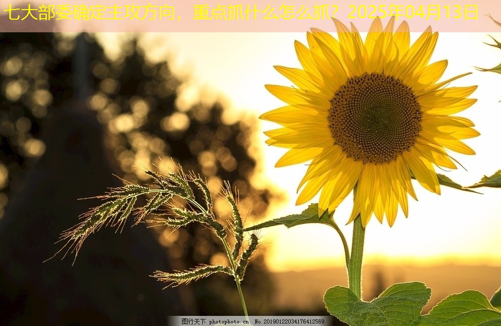 七大部委确定主攻方向，重点抓什么怎么抓？2025年04月13日