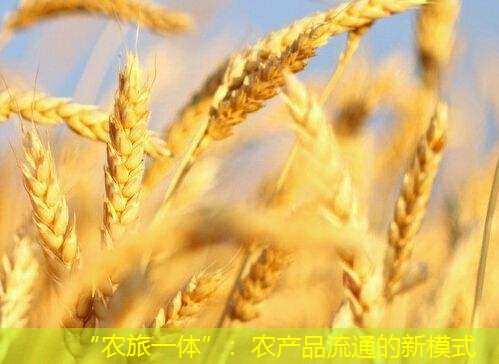 “农旅一体”：农产品流通的新模式