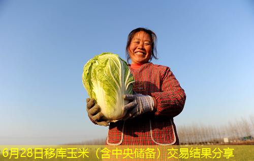 6月28日移库玉米（含中央储备）交易结果分享