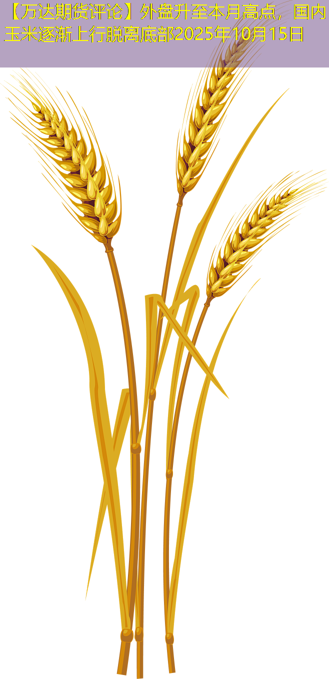 【万达期货评论】外盘升至本月高点，国内玉米逐渐上行脱离底部2025年10月15日