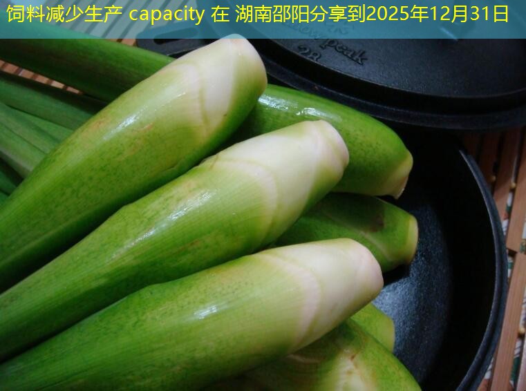 饲料减少生产 capacity 在 湖南邵阳分享到2025年12月31日