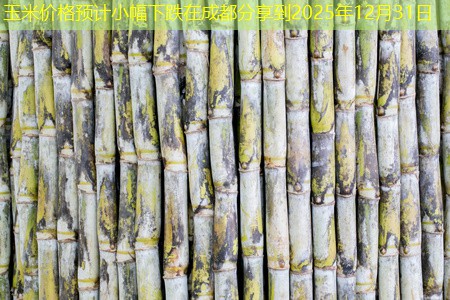 玉米价格预计小幅下跌在成都分享到2025年12月31日