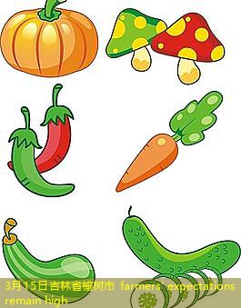 3月15日吉林省榆树市 farmers' expectations remain high