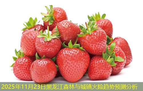 2025年11月23日黑龙江森林与城镇火险趋势预测分析