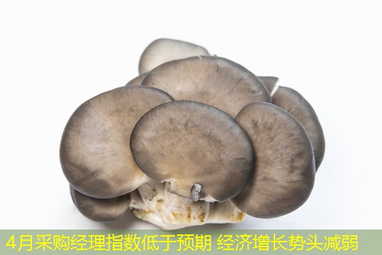 4月采购经理指数低于预期 经济增长势头减弱