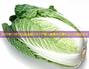 2025年11月18日起全国200个产粮大县率先开展农业大灾保险试点