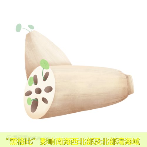 “黑格比”影响南海西北部及北部湾海域