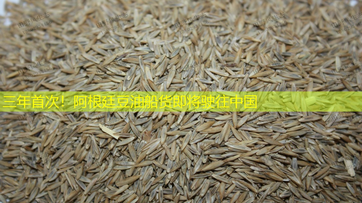 三年首次！阿根廷豆油船货即将驶往中国