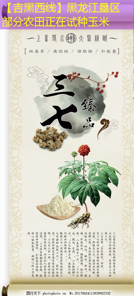 【吉黑西线】黑龙江垦区部分农田正在试种玉米