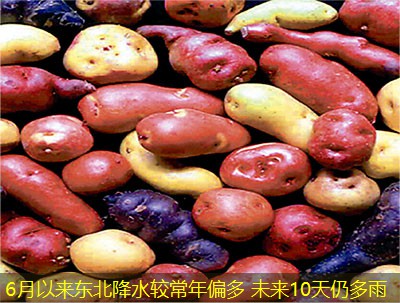 6月以来东北降水较常年偏多 未来10天仍多雨