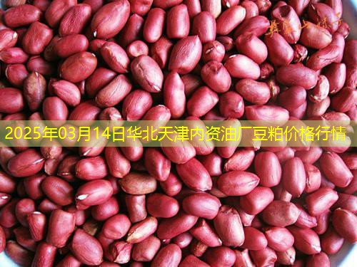 2025年03月14日华北天津内资油厂豆粕价格行情