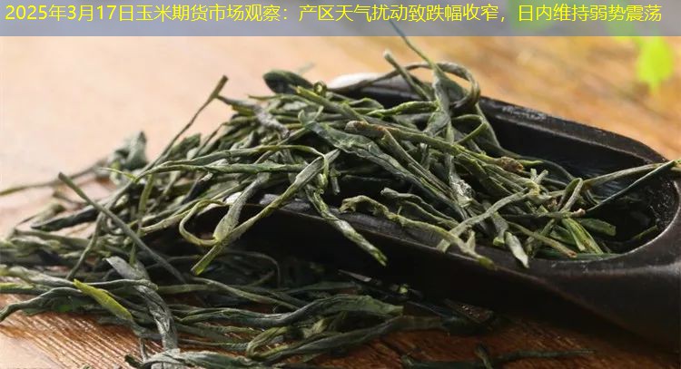 2025年3月17日玉米期货市场观察：产区天气扰动致跌幅收窄，日内维持弱势震荡