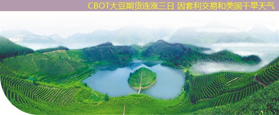 CBOT大豆期货连涨三日 因套利交易和美国干旱天气