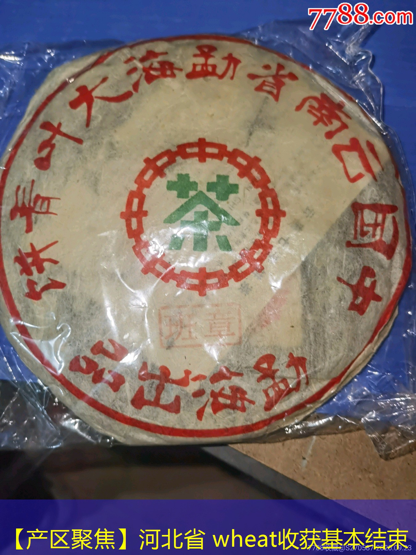 【产区聚焦】河北省 wheat收获基本结束