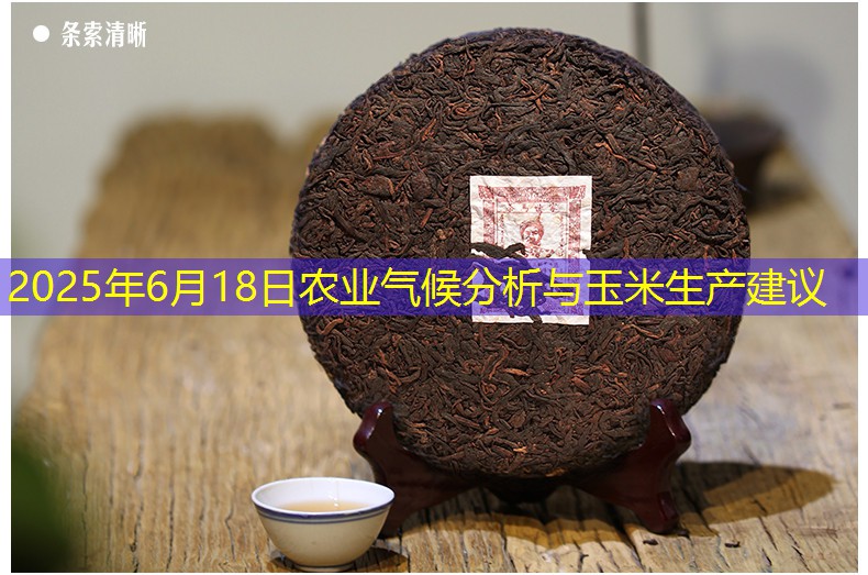 2025年6月18日农业气候分析与玉米生产建议