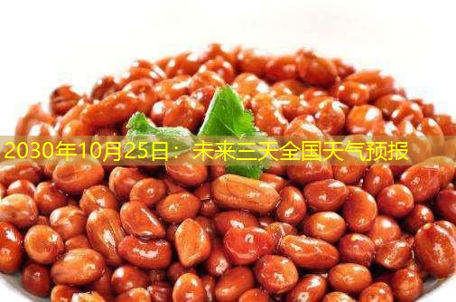 2030年10月25日：未来三天全国天气预报