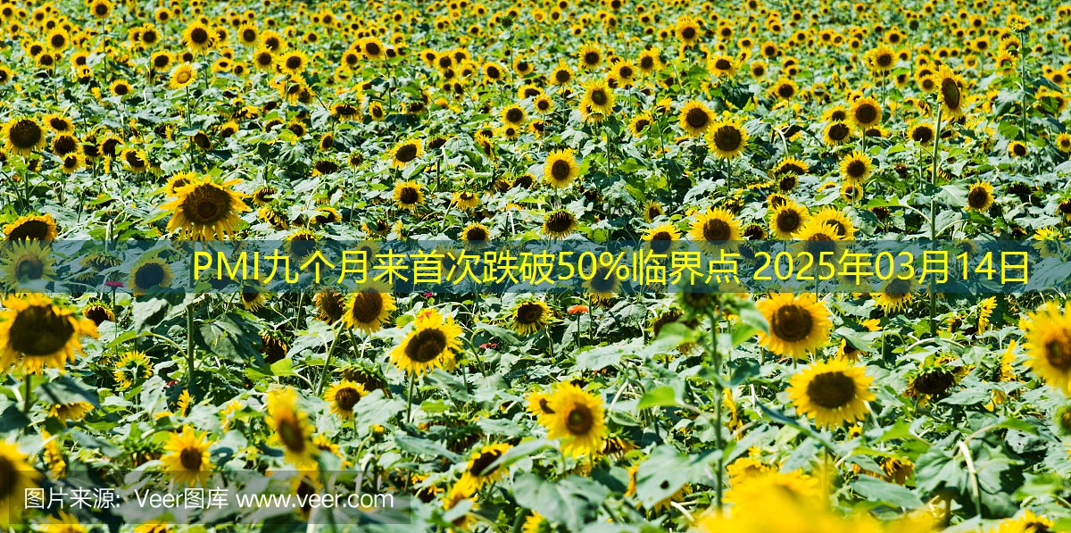 PMI九个月来首次跌破50%临界点 2025年03月14日